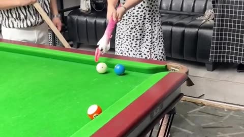 Top Funny Chinese TikTok-Funny Video-Try Not To Laugh008
