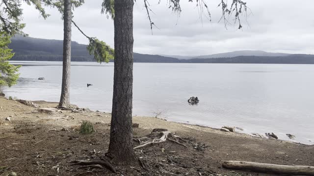 Returning Back to The Cove Near End of 13-Mile Loop – Timothy Lake – Mount Hood – 4K