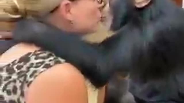 Lucky-monkey-monkey kissing