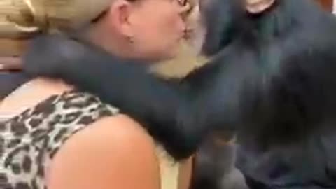 Lucky-monkey-monkey kissing