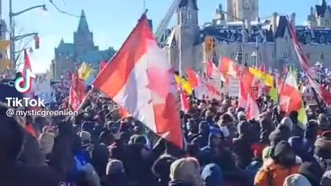 Trudeau's Insurrectionists Caught on Camera!