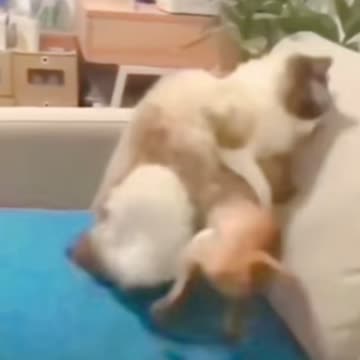 Wait for revenge 😂😂😂