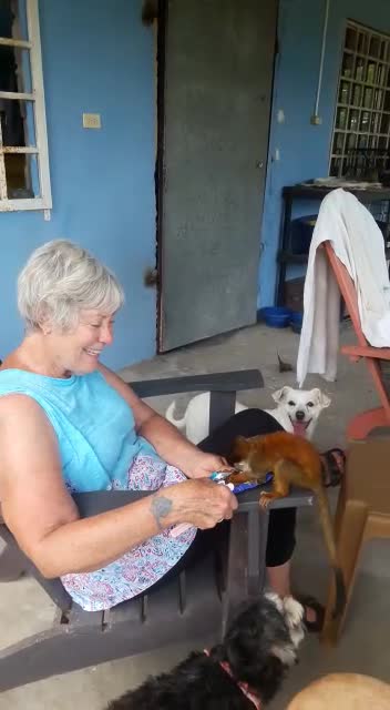 Th same funny monkey