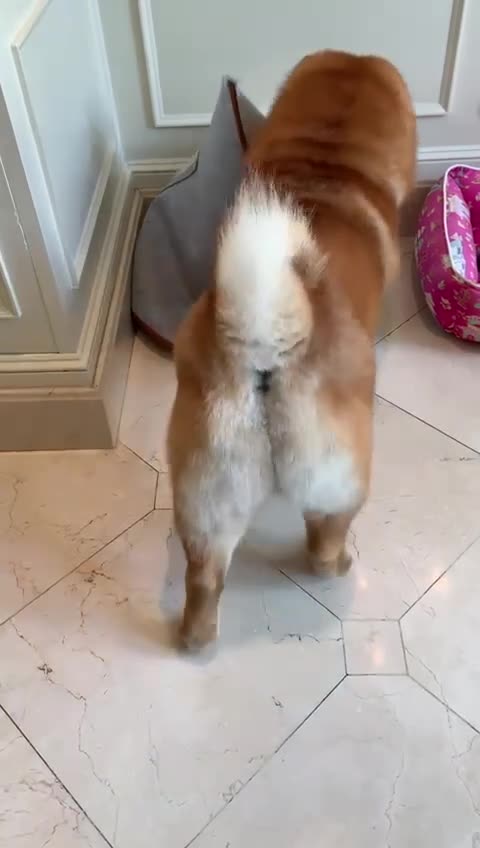 RhzPNsNwgLtaAavenDZZZm