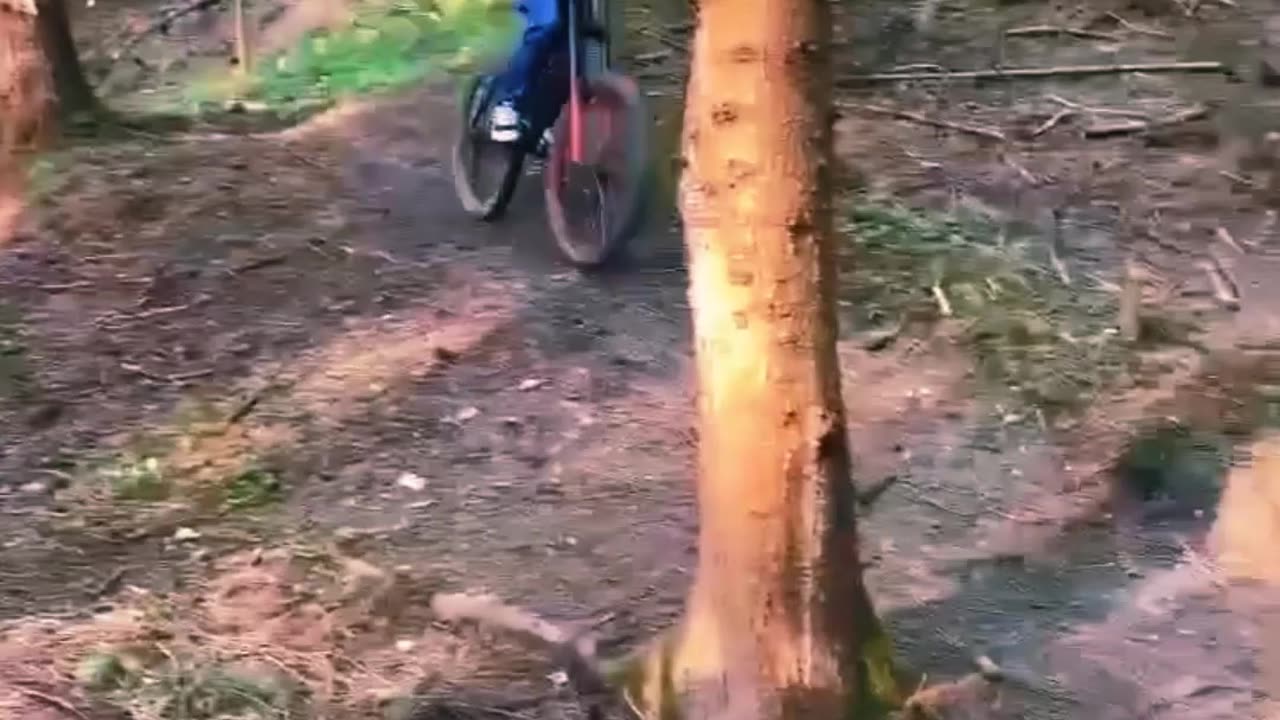 CHILD ON BICYCLE CRASHES INTO A TREE😰😰😰😰