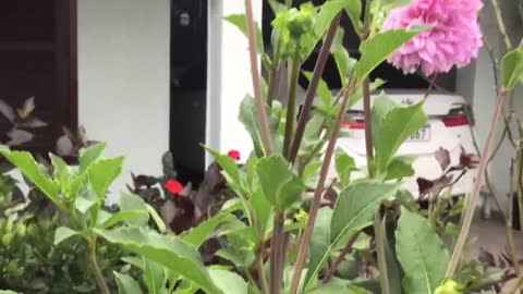 My first time here