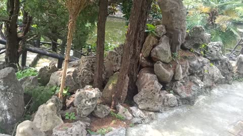 This rockery looks like a lot of monkeys standing on the mountain