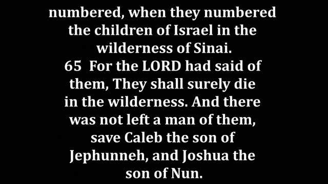 Numbers 26 King James version