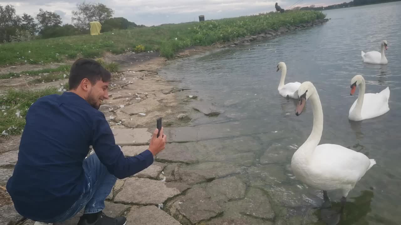 Swan was trying to bite me!