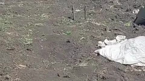 Checking On Destroyed Equipment