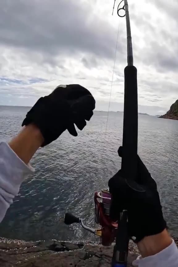 #CavyFishing #reels #shorts #fyp #fish #fisher #fishing #fishingsecretsnw