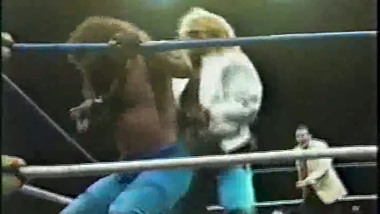 NWA Pro Wrestling Sep 23 1989