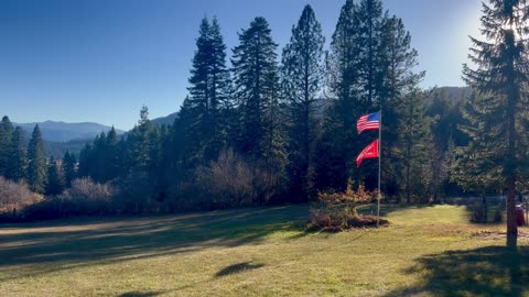 Flags at the Cabin