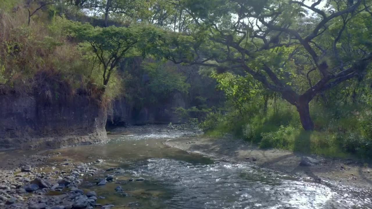 flying over a relaxing creek full of rock