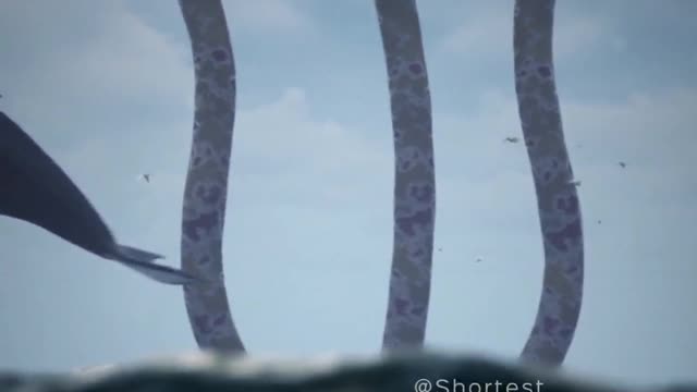 Wait for the surprise✋🙀