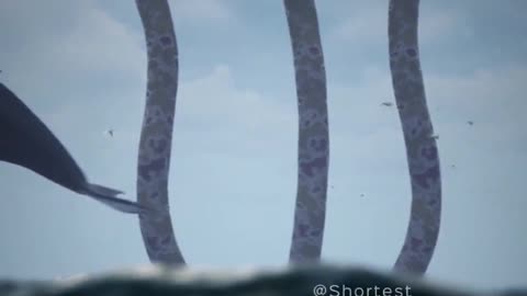 Wait for the surprise✋🙀