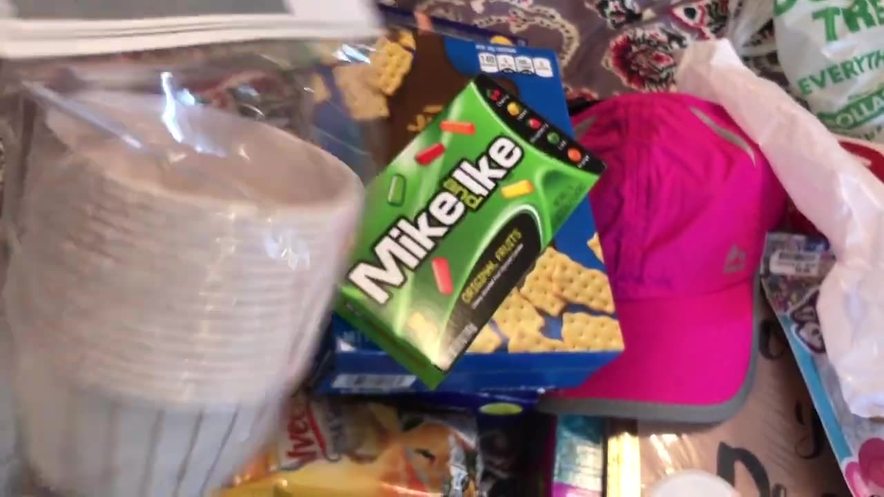 Shopping Haul Dollar Tree, Big Lots & Burkes Outlet.