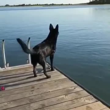 What did he just saw in the water?
