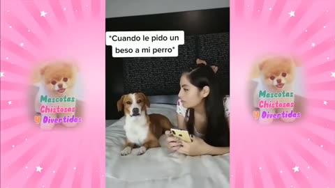 Mira como escuchar a perros