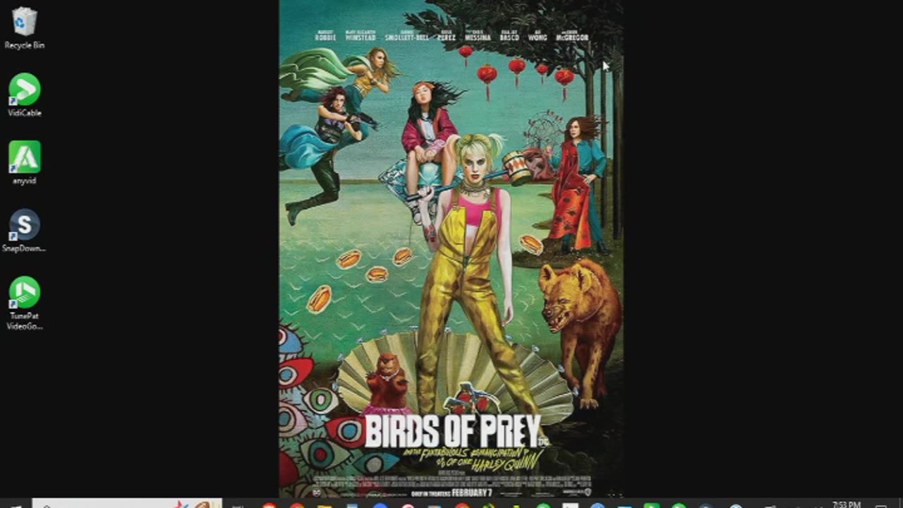 Birds of Prey (2020) Review