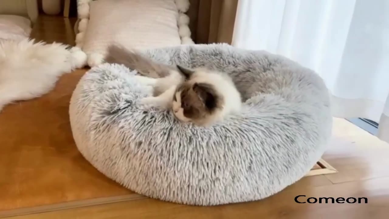 Lit Super Chaud en Peluche pour Chat