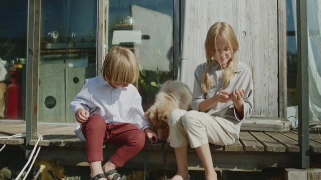 Siblings Petting the Dog