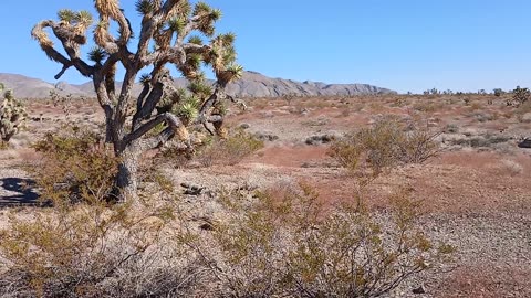 Hiking - Shadow Mountain, Pahrump, NV 89060 - 20240926T154421