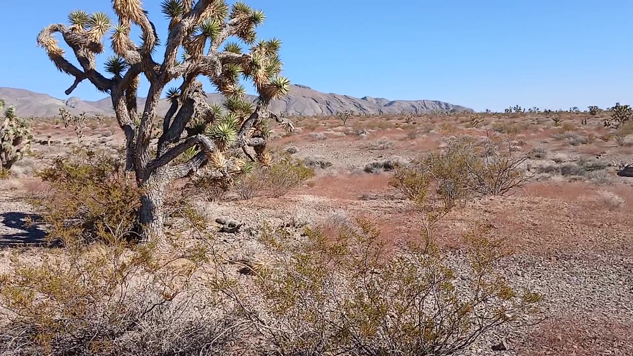 Hiking - Shadow Mountain, Pahrump, NV 89060 - 20240926T154421