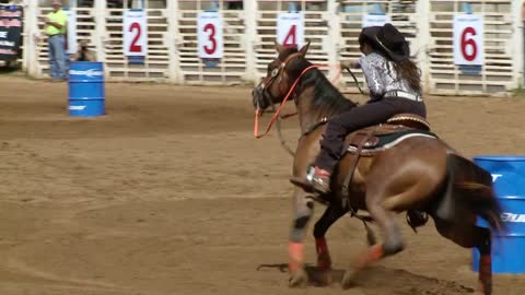 Galloping Horse In Rodeo