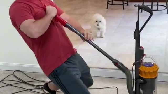 Dog and vacuum cleaner