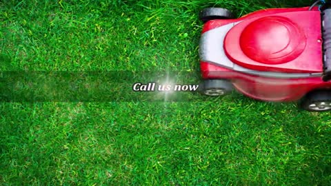 D.M.V Lawn Care LLC - (240) 368-6996