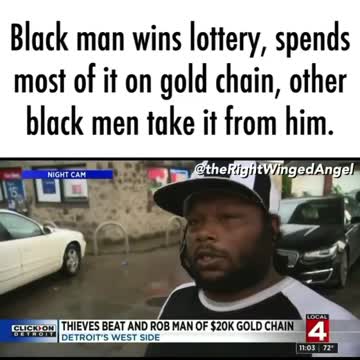 Animals will ne Animals