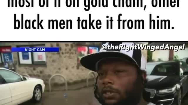 Animals will ne Animals