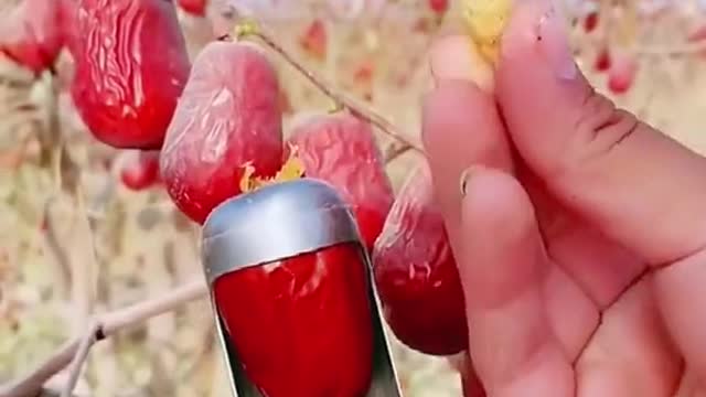 OMG 😱 skill?😋👩‍🌾#usa #fruit #asmr