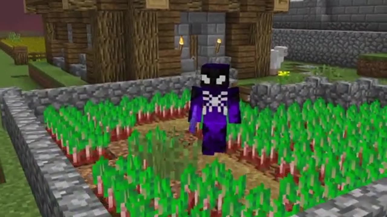Minecraft short