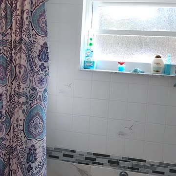 🐕‍🦺A Dog Mermaid!!! What? YES Wait for it!!!...