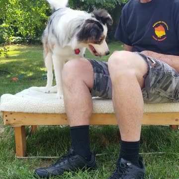 It's all in the game of Fetch part 4 cut 2