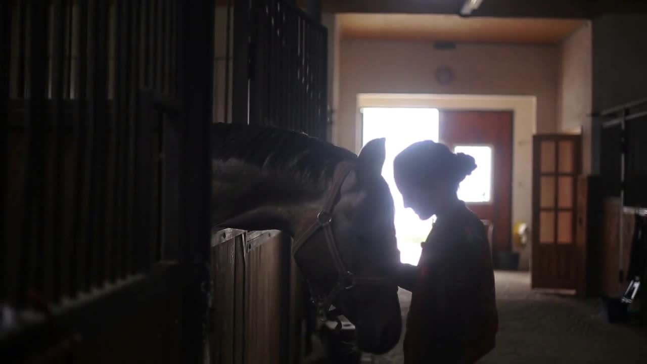 Cute girl in a stable stroge brown horse in dark background light play funny hobby