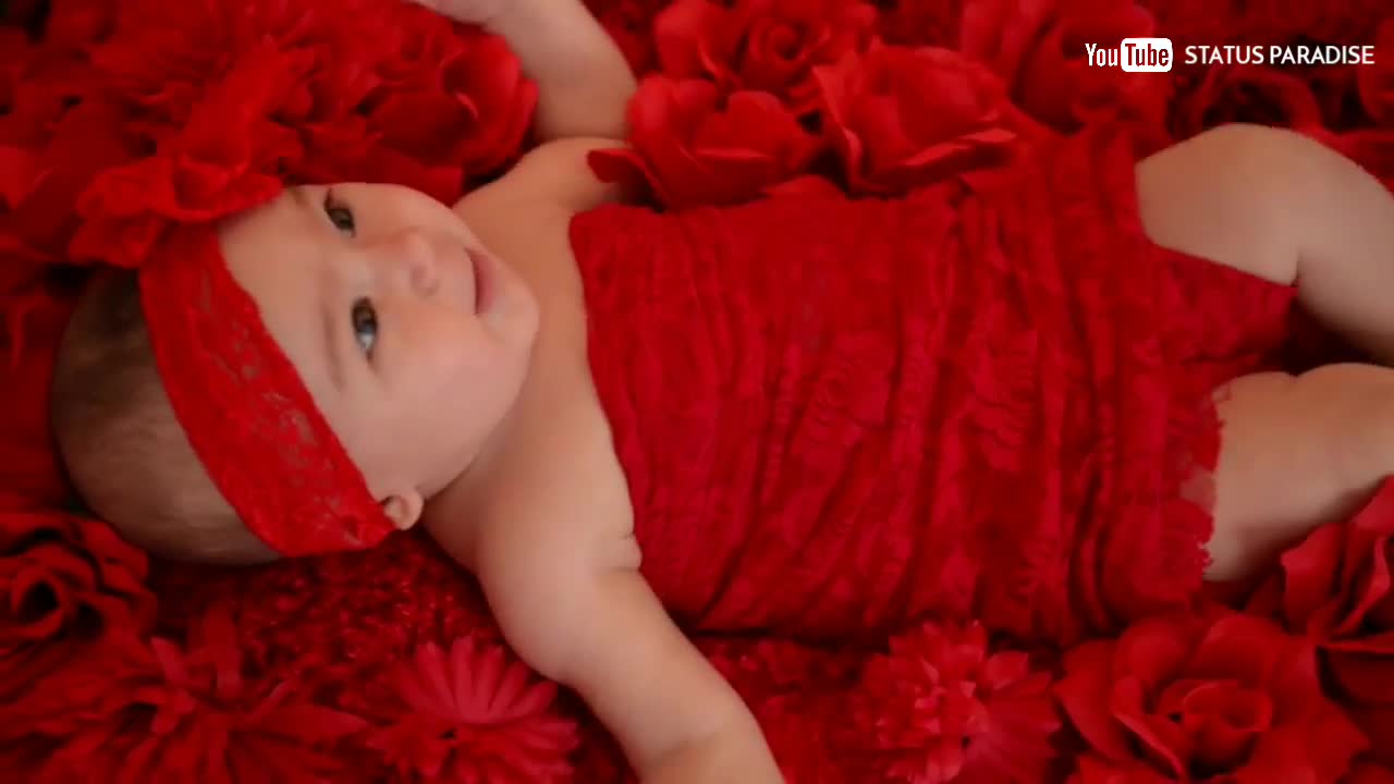 Cute Baby Video photoshoot |videography