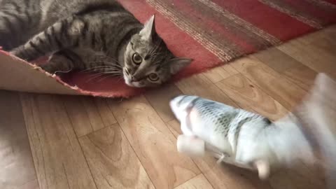 Dora And Her Toy Fish