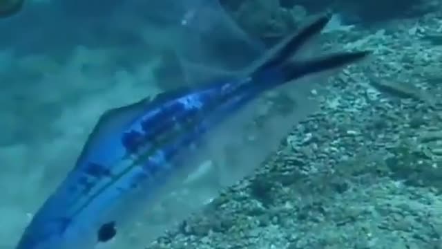 Please do not throw GARBAGE in the SEA! ☹️