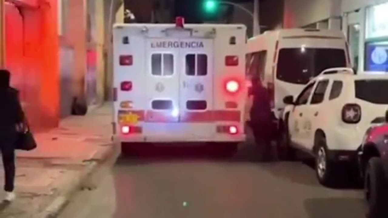 Ambulance was carrying the dog's owner