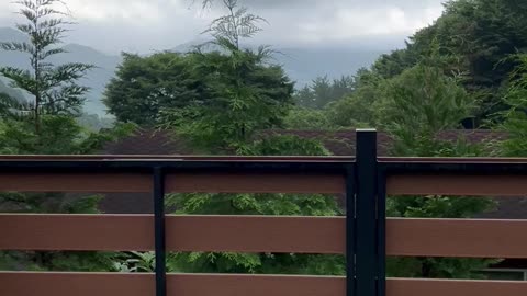 Visit to a recreational forest