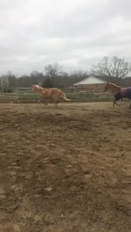 Elly and Rose cutting loose