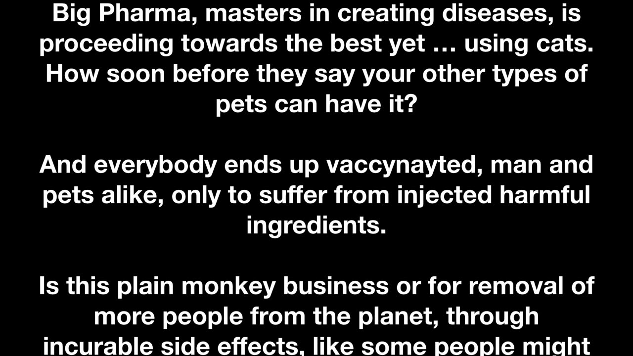 Why Cats are the New Pigs — and could spark the next pandemic…
