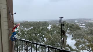 More snow in Austin