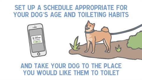 7 Quick Tips for TOILET TRAINING a Puppy or Dog