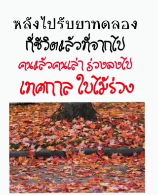 เทศกาลใบไม้ร่วง หลังรับวัคซีนมรณะ เสียใจด้วย