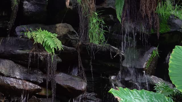 calming trickling water with music