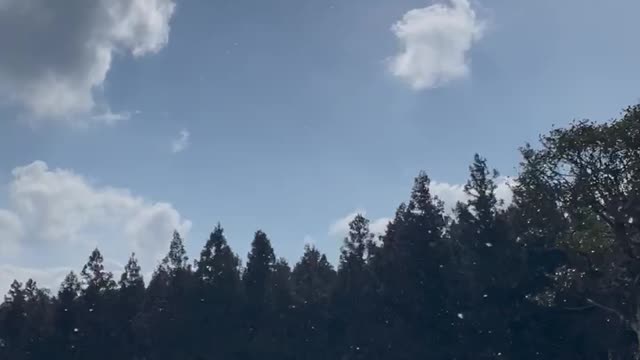 Snow falling from the clear sky